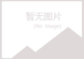 兰山区指望咨询有限公司